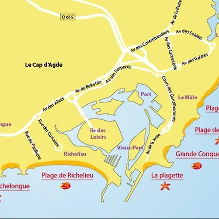 Climatise Pour 4 Avec Parking, A 10 Min De La Plage, Wifi Et Animaux Acceptes - Fr-1-749-5 Apartment *