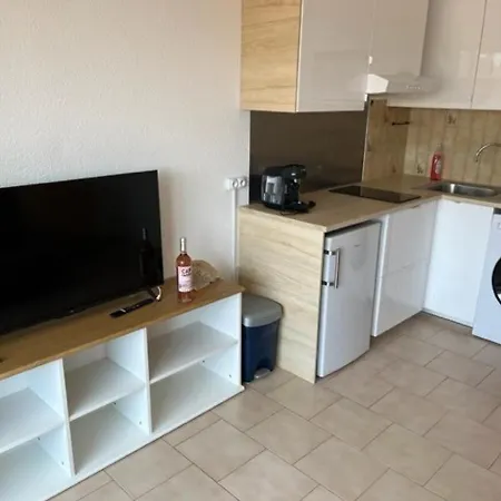 Climatise Pour 4 Avec Parking, A 10 Min De La Plage, Wifi Et Animaux Acceptes - Fr-1-749-5 Apartamento Agde